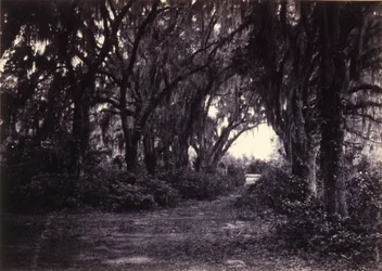 Bonaventure, Savannah, Géorgie