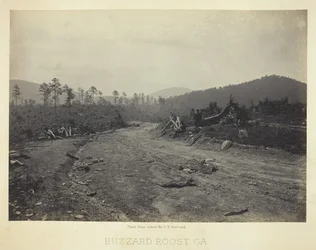 Buzzard Roost, GA