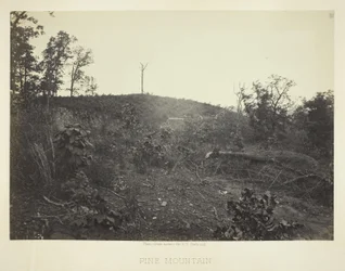 Montagne des pins