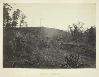 Montagne de Pin