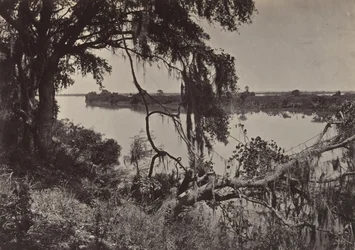 Rivière Savanah, près de Savanah, Géorgie, années 1860