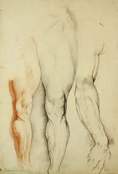 La cuisse de Boswood