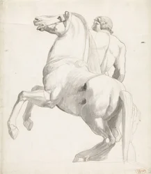 Cavalier de Montecavallo