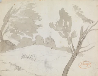 Paysage