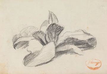 Étude de feuilles 2