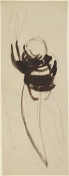 Étude d