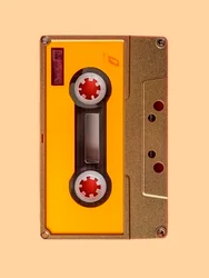 Vinyl Cassette, 2024