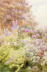 Anthemis, coquelicots et delphiniums