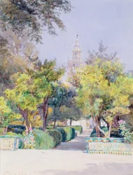 Dans le jardin de l