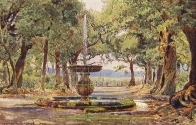 Jardins italiens : Fontaine dans le Bosco, Villa Conti