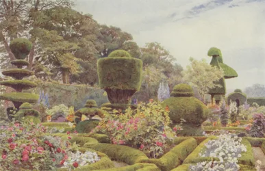 Levens, Roses et Œillets