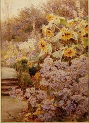 Tournesols dans une bordure herbacée