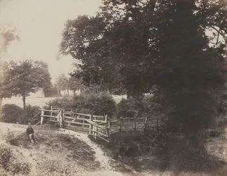 Prairies vertes, 1854