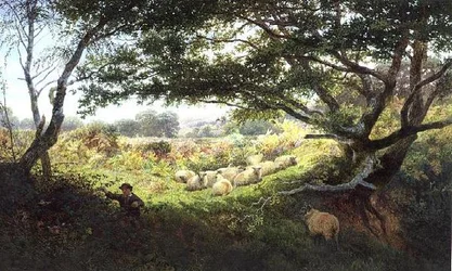 Un berger et son troupeau de moutons
