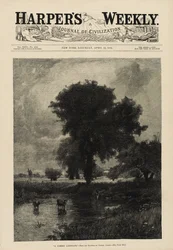 Bétail dans la piscine (Un paysage d