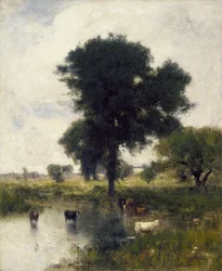 Bétail dans une piscine (paysage d