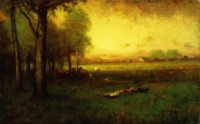 Vaches au pâturage au coucher du soleil