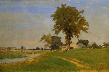 Vieux orme à Medfield, 1860