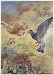 Alice avec un long cou, effrayant un pigeon