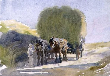 Meule de foin au soleil