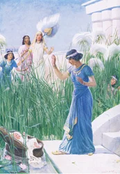 Le bébé parmi les joncs, de The Bible Picture Book publié par Thomas Nelson, vers 1950