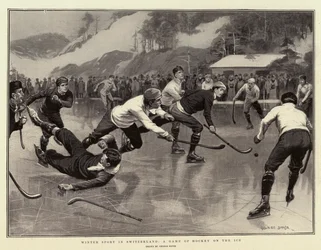 Sport d