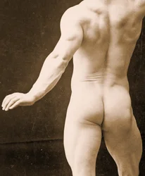 Eugen Sandow, en pose gréco-romaine classique