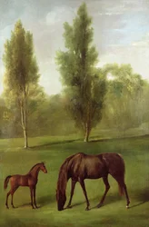 Une jument alezane et son poulain dans un paysage boisé, vers 1761-63