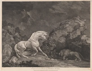 Un cheval effrayé par un lion