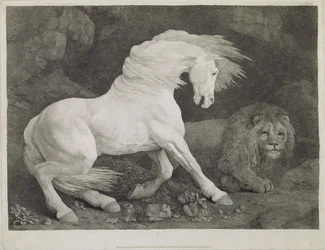 Un cheval effrayé par un lion, gravé par l