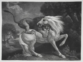 Un cheval attaqué par un lion