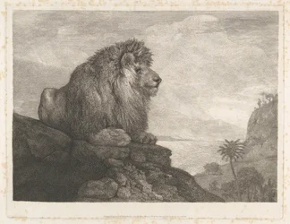 Un lion (un lion se reposant sur un rocher)