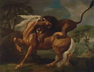 Un lion attaque un cheval