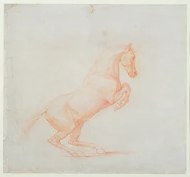 Un cheval cabré, tourné vers la droite, 1790