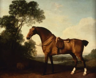 Un chasseur de la baie en selle