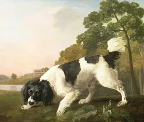 Un épagneul dans un paysage, 1771