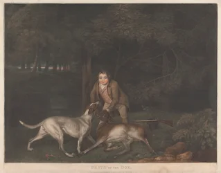 Mort de la biche