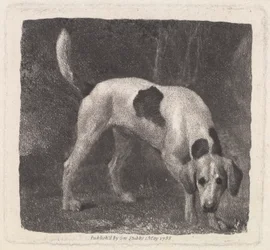 Chien (Un chien de chasse sur la piste) gravé par l