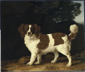 Fanny, le chien préféré de Mme Musters, debout dans un paysage boisé, 1777