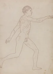 Figure humaine, vue latérale
