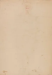 Squelette humain, vue antérieure