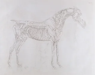 Illustration de 