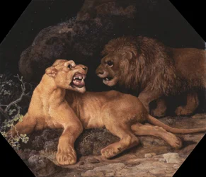 Lion et Lionne