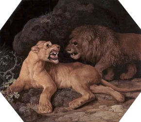 Lion et lionne, 1770