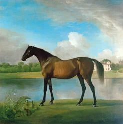 La jument poulinière de Lord Bolingbroke dans les jardins de Lydiard Park, Wiltshire, c.1764-66