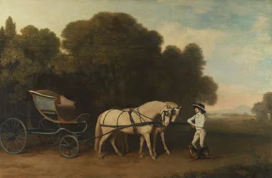 Phaéton avec une paire de poneys crème et un garçon d