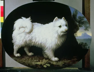 Portrait du chien blanc de Mme French, 1782