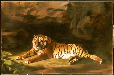 Portrait du tigre royal, v. 1770