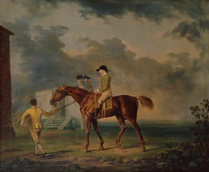 Sir Salomon, un cheval de course bai avec J.Singleton, Newmarket