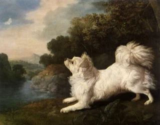 Épagneul appartenant au peintre Cosway chassant un papillon, 1775